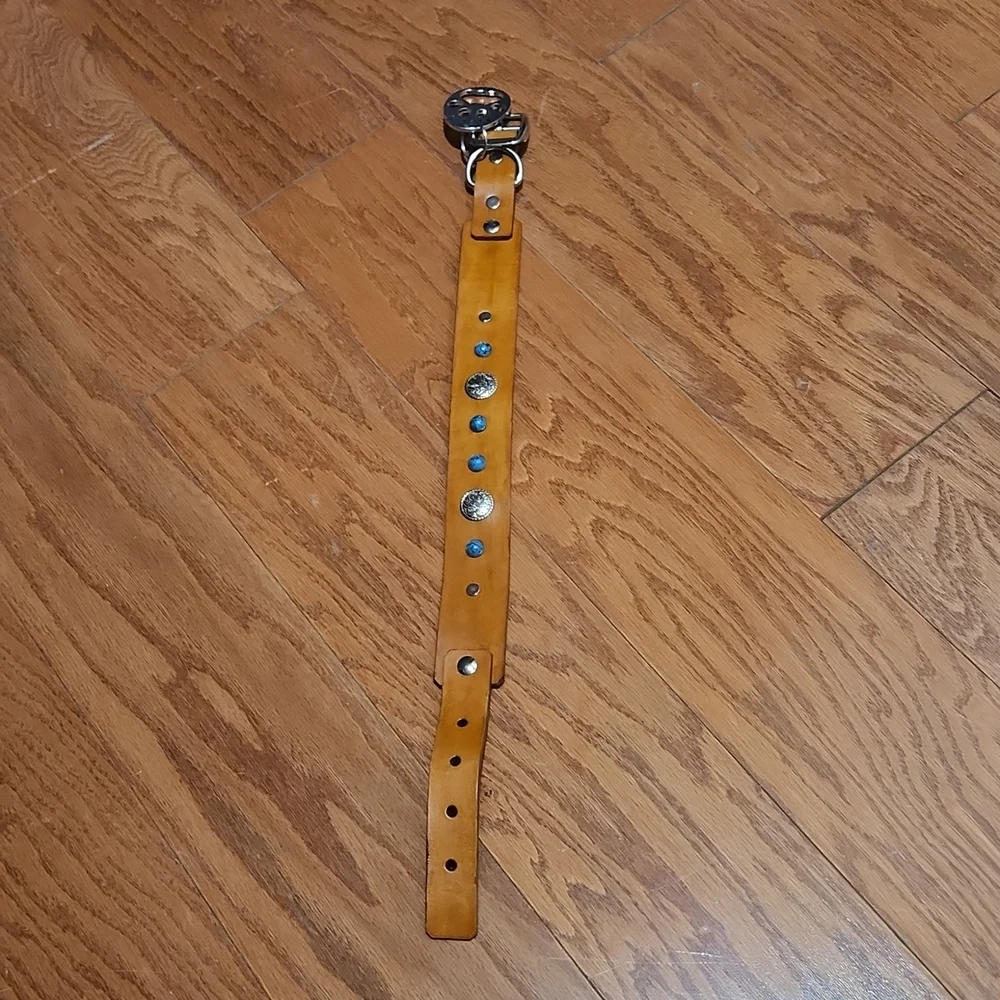 Large‎ dog collar